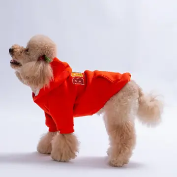 PawStar 26709-Turuncu Bronx Brave Hoodie
