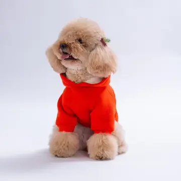 PawStar 26709-Turuncu Bronx Brave Hoodie