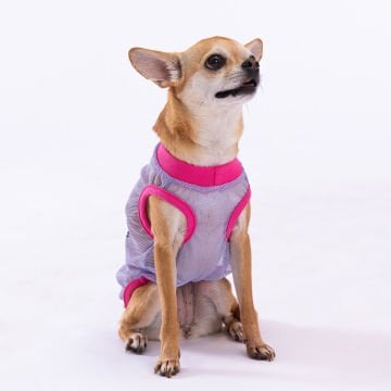 PawStar Our Flock Rocks Mesh T-Shirt