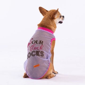 PawStar Our Flock Rocks Mesh T-Shirt