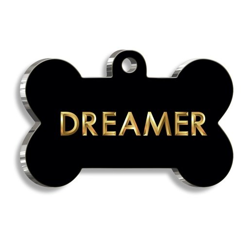 Dreamer Kemik Şekilli Köpek Künyesi Small 2,1 x 3,1 cm