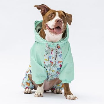 PawStar Tokyo Büyük Irk Tulum Yağmurluk