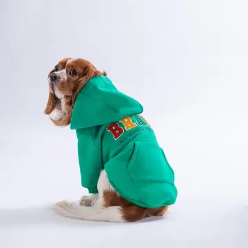 PawStar 26708-Yeşil Bronx Brave Hoodie