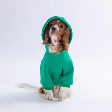 PawStar 26708-Yeşil Bronx Brave Hoodie