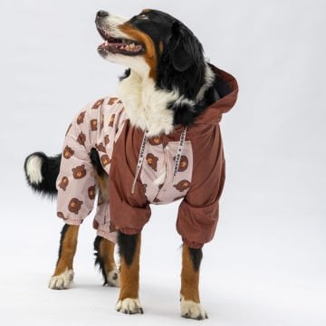 PawStar Colorado Büyük Irk Tulum Yağmurluk