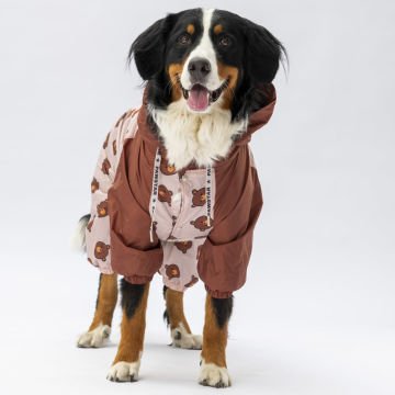 PawStar Colorado Büyük Irk Tulum Yağmurluk