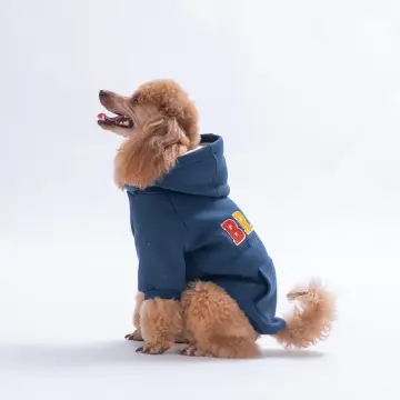 PawStar 26710-Lacivert Bronx Brave Hoodie
