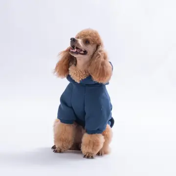 PawStar 26710-Lacivert Bronx Brave Hoodie