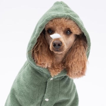 PawStar Yeşil Pattaya Bornoz