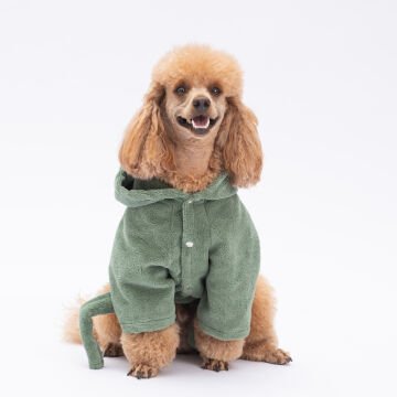 PawStar Yeşil Pattaya Bornoz