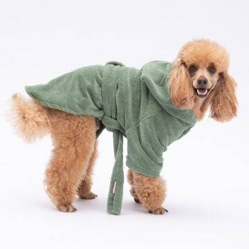 PawStar Yeşil Pattaya Bornoz