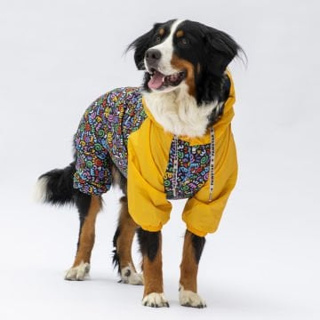 PawStar Ferrara Büyük Irk Tulum Yağmurluk