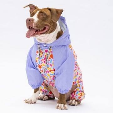 PawStar Marsala Büyük Irk Tulum Yağmurluk