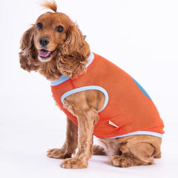 PawStar Flash Mesh T-Shirt