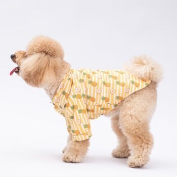 PawStar Panama City Desenli Gömlek
