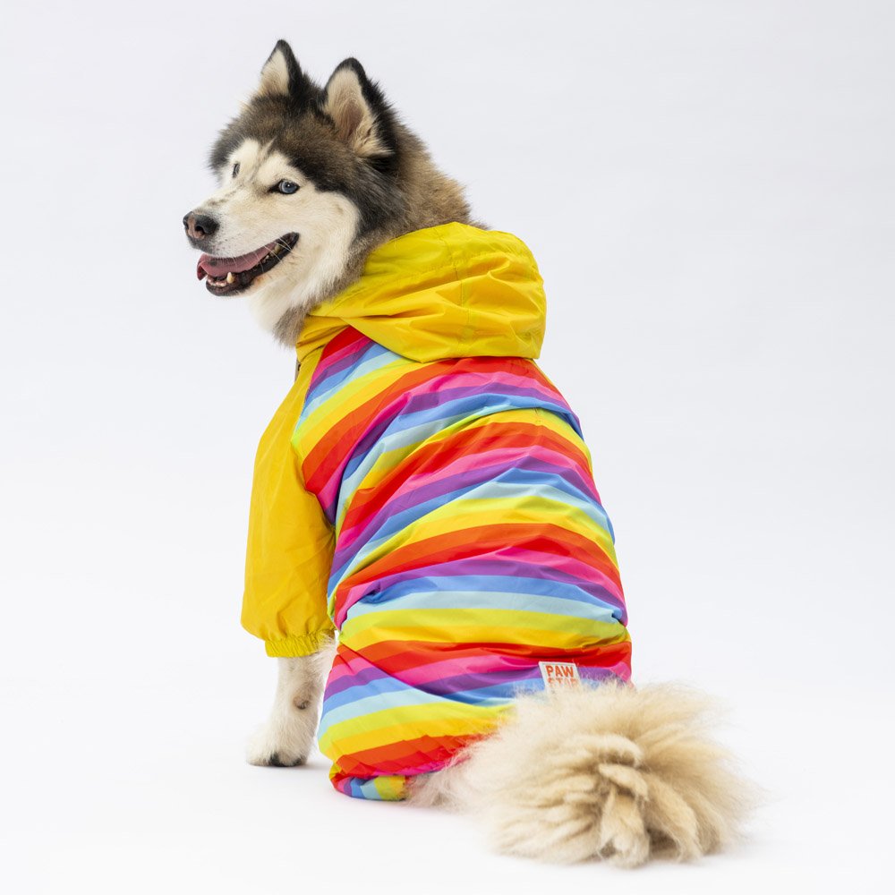 PawStar Peru Büyük Irk Tulum Yağmurluk