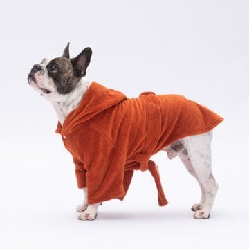 PawStar Kiremit Pattaya Bornoz