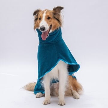 PawStar Mavi Bogota Bornoz