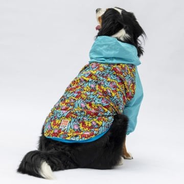 PawStar Hollywood Büyük Irk Yağmurluk