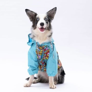 PawStar Hollywood Büyük Irk Yağmurluk