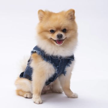 PawStar Denim Yelek