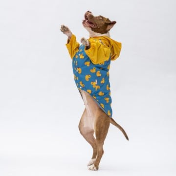 PawStar Pekin Büyük Irk Yağmurluk