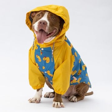 PawStar Pekin Büyük Irk Yağmurluk