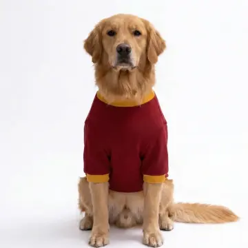 PawStar 26759-Pooh Honey Büyük Irk Sweat