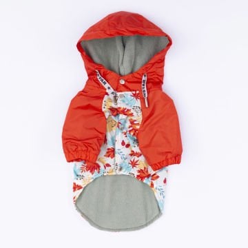 PawStar Ottawa Büyük Irk Yağmurluk