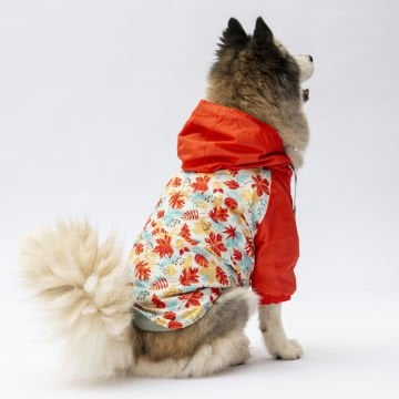 PawStar Ottawa Büyük Irk Yağmurluk