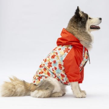 PawStar Ottawa Büyük Irk Yağmurluk