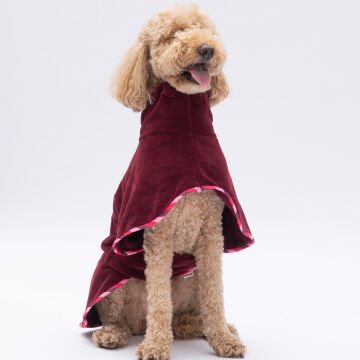 PawStar Bordo Bogota Bornoz