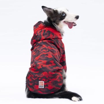 PawStar Kırmızı Dijon Büyük Irk Yağmurluk