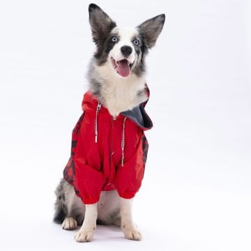 PawStar Kırmızı Dijon Büyük Irk Yağmurluk