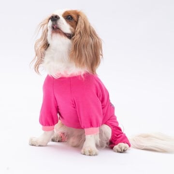 PawStar Donut Worry Pijama Tulum