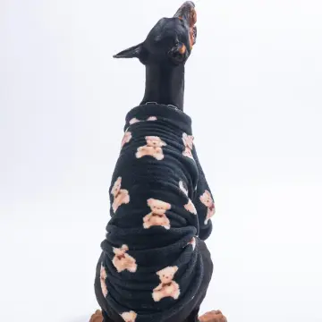 PawStar 26754- Siyah Gentle Bruno Big Sweat