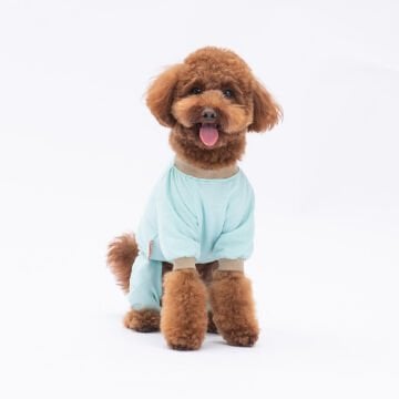 PawStar Lama & Dog Pijama Tulum