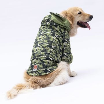 PawStar Yeşil Dijon Büyük Irk Yağmurluk