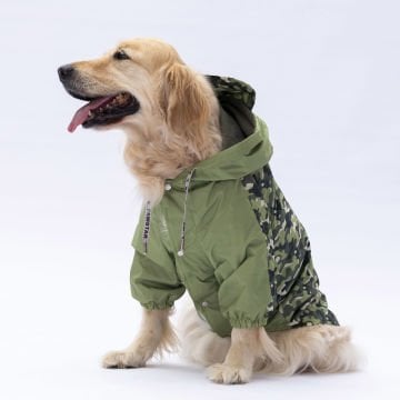 PawStar Yeşil Dijon Büyük Irk Yağmurluk