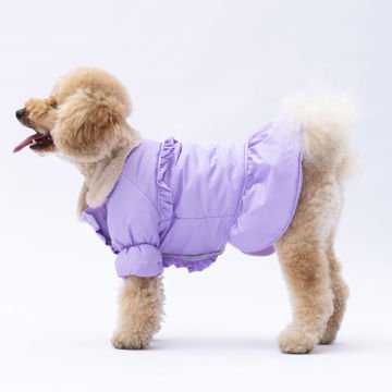 PawStar  Lila Elizabeth Yağmurluk Küçük ve Orta Irk