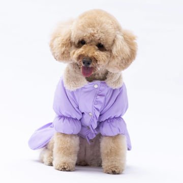 PawStar  Lila Elizabeth Yağmurluk Küçük ve Orta Irk