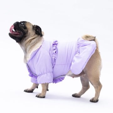 PawStar  Lila Elizabeth Yağmurluk Küçük ve Orta Irk