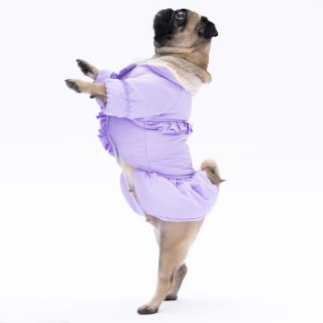 PawStar  Lila Elizabeth Yağmurluk Küçük ve Orta Irk