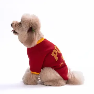 PawStar 26705-Pooh Honey Dog Sweat