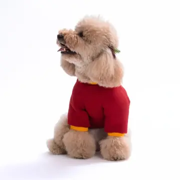 PawStar 26705-Pooh Honey Dog Sweat
