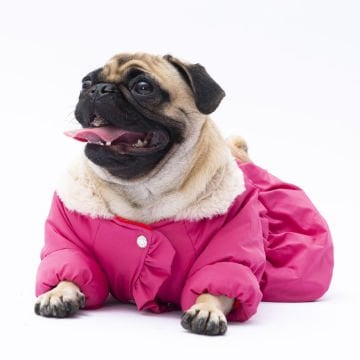 PawStar  Fuşya Elizabeth Yağmurluk Küçük ve Orta Irk