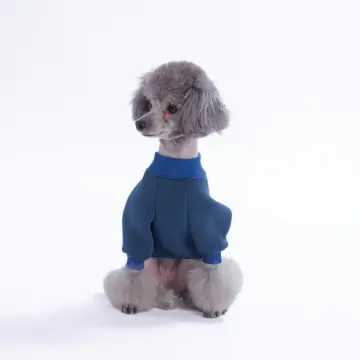 PawStar 26706-Eeyore Creek Dog Sweat