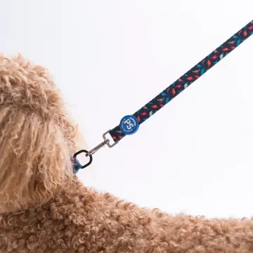 PawStar L13 Dino Sevk Kayışı