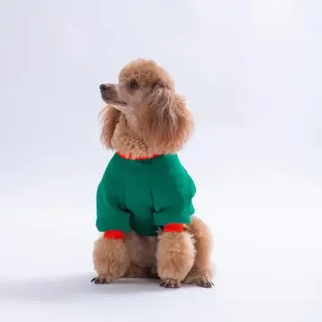 PawStar 26707-Tigger Grove Dog Sweat