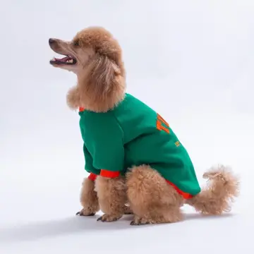 PawStar 26707-Tigger Grove Dog Sweat